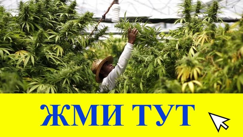 Купить наркотики в Тобольске